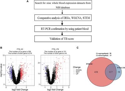 The Evaluation and Validation of Blood-Derived Novel Biomarkers for Precise and Rapid Diagnosis of Tuberculosis in Areas With High-TB Burden